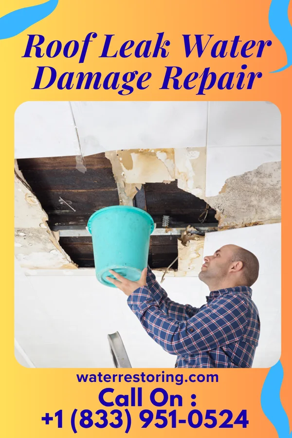 Roof Leak Water Damage Repair in Pelican Bay, FL